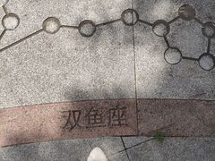 -莫子山公园