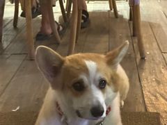 -肥朵食堂(带梦胡同店)