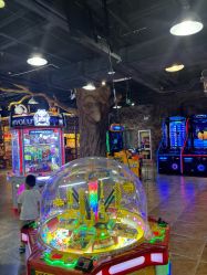 -卡通尼·Safari非洲探索乐园·生日会(金桥国际商业广场店)