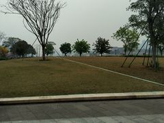-洲头咀公园