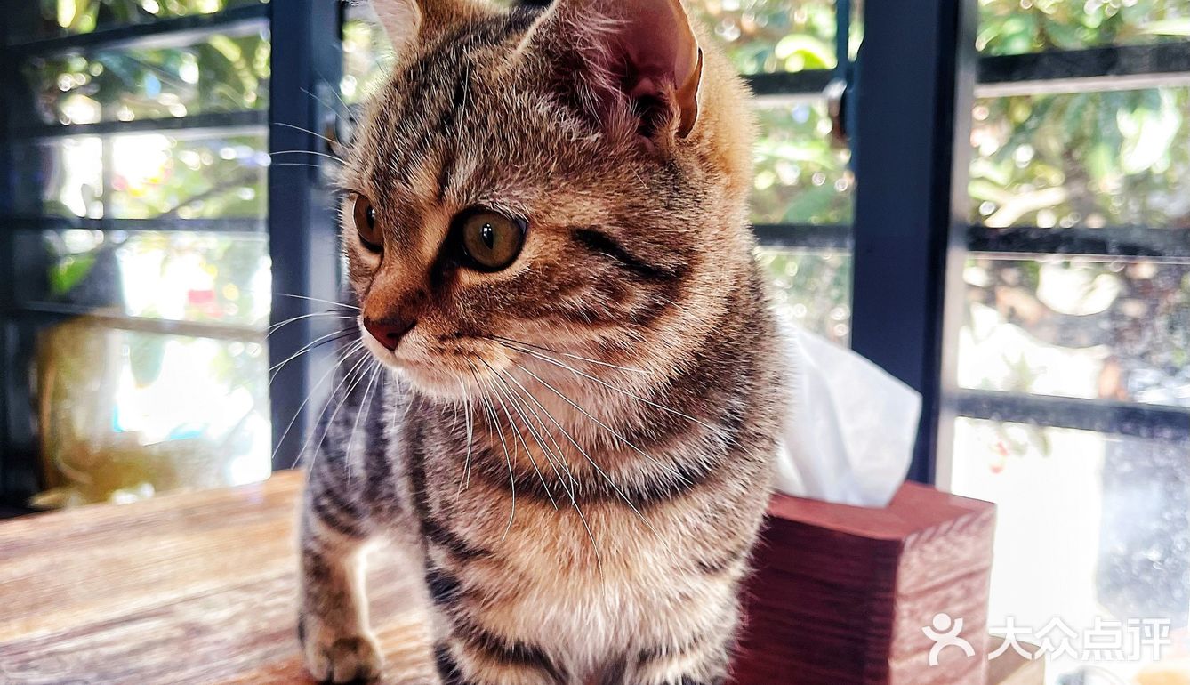 山东菜煎饼配美式