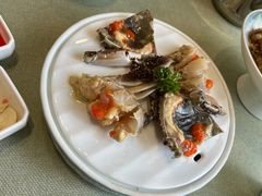 -渔娘渔家丹东海鲜(东直门店)