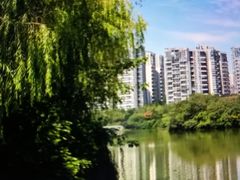 -三圣花乡旅游区