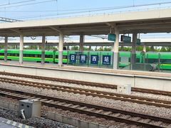 -日照灯塔风景区