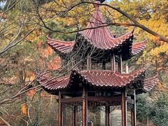 -敬亭山风景名胜区