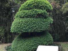 -苏州河梦清园环保主题公园