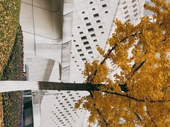 -南京国际青年文化中心