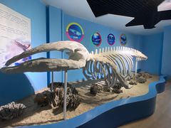 -石林冰雪海洋世界