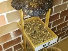 -丽辰新韩式商务SPA·洗浴桑拿·自助餐食