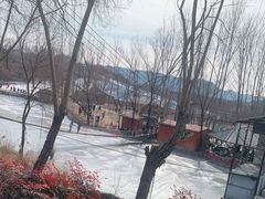 -东方巨龟苑景区