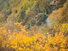 -阳台山自然风景区