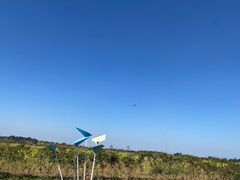 -空港花田景区