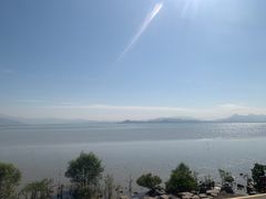 -深圳湾公园(南山区)