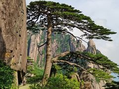 -黄山风景区