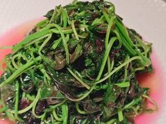 -羊门客在·烤盐池滩羊·川菜