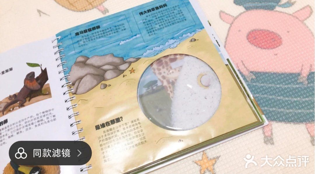 有趣的动物百科