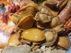 矶煮鲍鱼刺身-松岛日本料理(汾江路店)