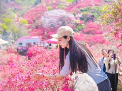 -木兰云雾山