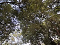 -玲珑塔公园