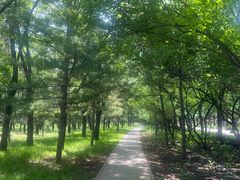 -森林公园(尖草坪区)