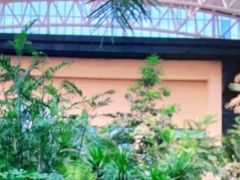 -郑州银基黄帝宫御温泉