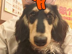 -和它·交个朋友·狗咖猫咖(爱琴海店)