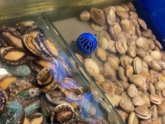 -海天盛宴新派海鲜自助餐厅(群力店)