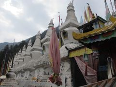 -九寨沟-树正沟