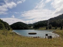 -武陵山森林公园