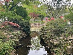 -上海醉白池公园
