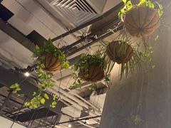 -Wagas沃歌斯(五道口购物中心店)