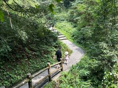 -西岭雪山大飞水景区