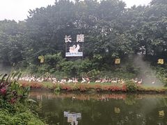 -广州长隆飞鸟乐园