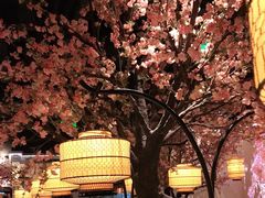 -绿茶餐厅(昌平悦荟店)