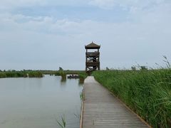 -盐城丹顶鹤湿地生态旅游区
