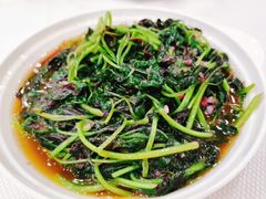 -湛江渔港·大排档(乐园路总店)