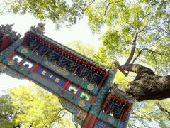 -北京国子监胡同