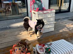 -小意思咖啡店(草桥店)