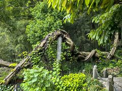 -严子陵钓台(富春江小三峡)