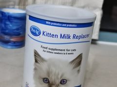 -东方名猫馆·英短金渐层布偶猫舍(环线广场1号楼店)