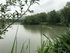 -长兴太湖图影湿地文化园