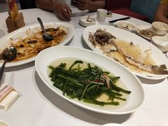 -星湖愉景酒家