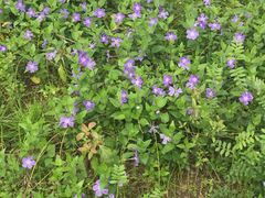 -白塘生态植物园