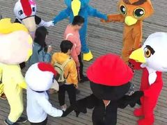 -盐城丹顶鹤湿地生态旅游区