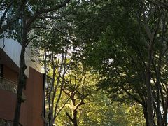 -西安电影制片厂