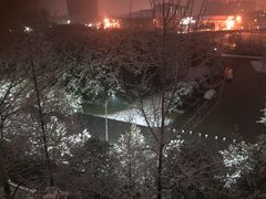 -情妹妹干锅锅(中海国际购物公园店)