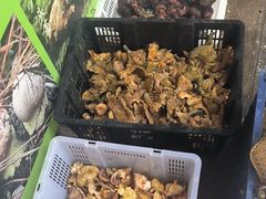 -野菌王•养生汤锅•野生菌火锅(大理漾濞路店)