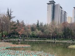 -木塔寺遗址生态公园
