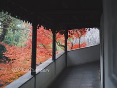 -拙政园