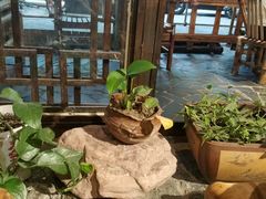 -可可大虾武汉土菜大排档(万松园1店)